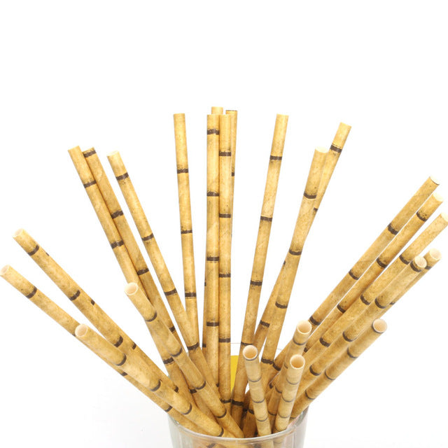 Drinking Bamboo Paper Straw - Set of 25 - Oh Happy Fry - we ship worldwide