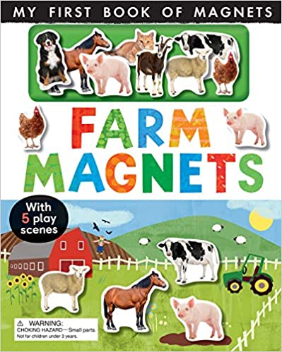 Animal Magnet Book (Novelty Book)