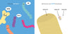 Baby Medical School: Bacteria and Antibiotics (Baby University) Board book - Oh Happy Fry - we ship worldwide