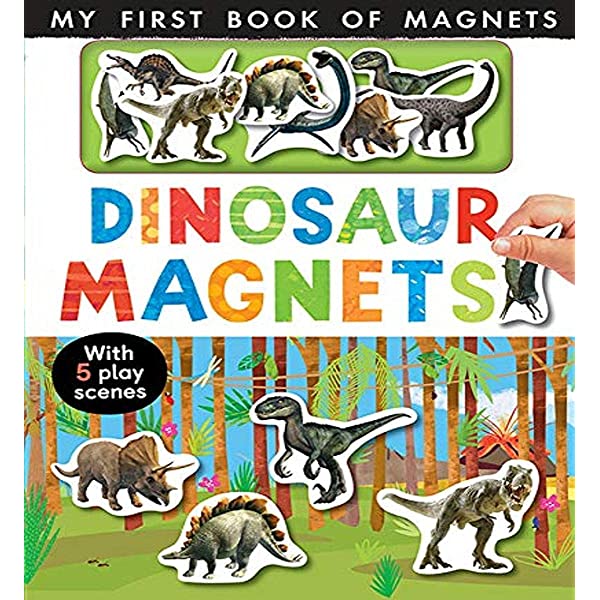 Animal Magnet Book (Novelty Book)