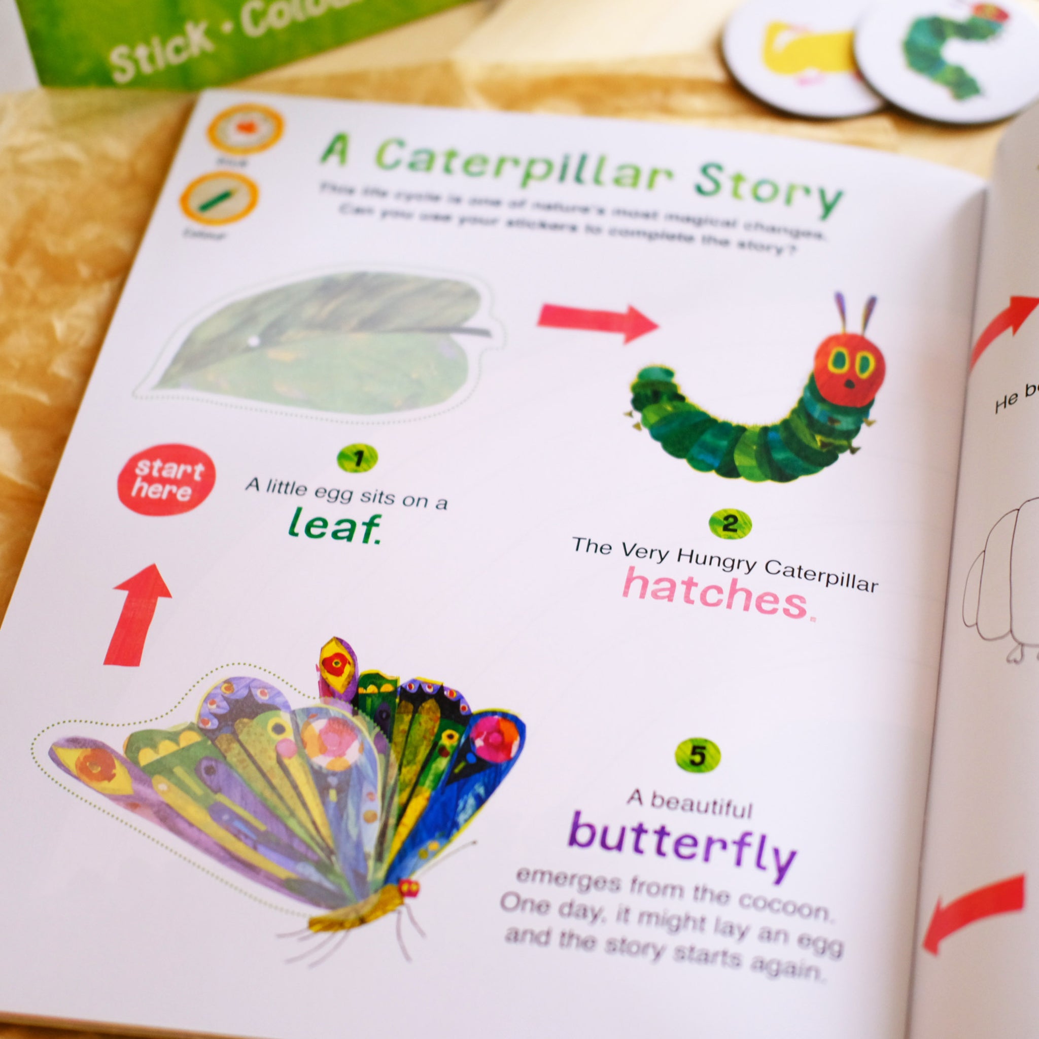 The Very Hungry Caterpillar’s Nature Sticker and Colouring Book (Paperback)