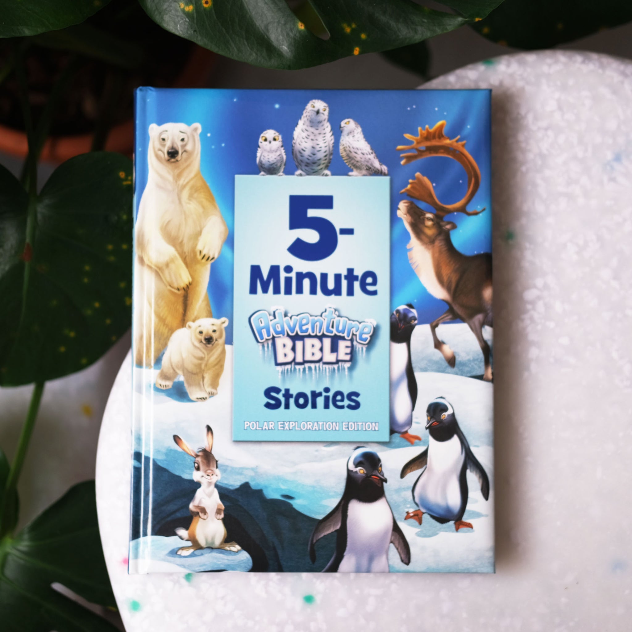 5-Minute Adventure Bible Stories, Polar Exploration Edition (Hardcover)
