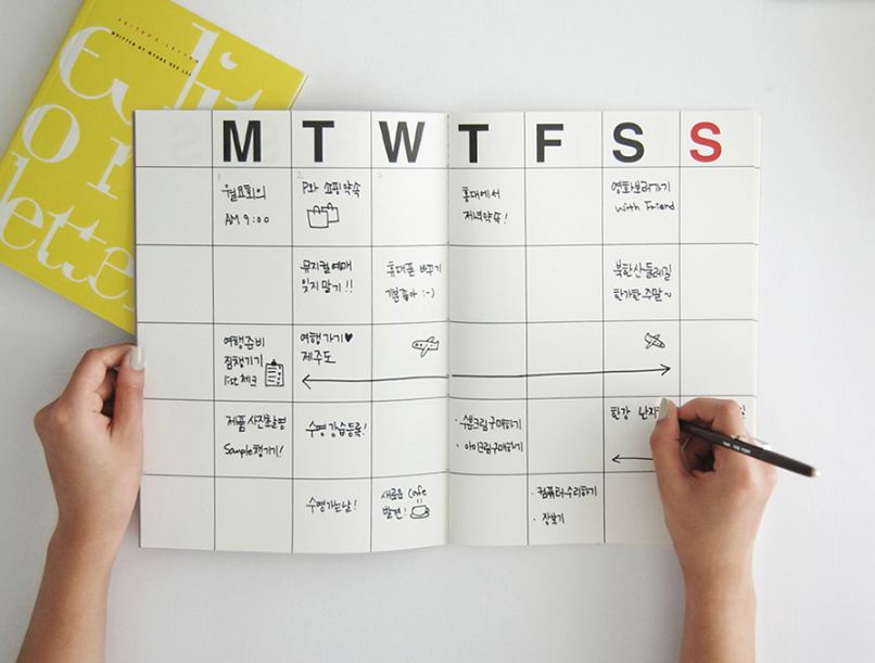 Large Monthly Planner - 2 colours - Oh Happy Fry - we ship worldwide