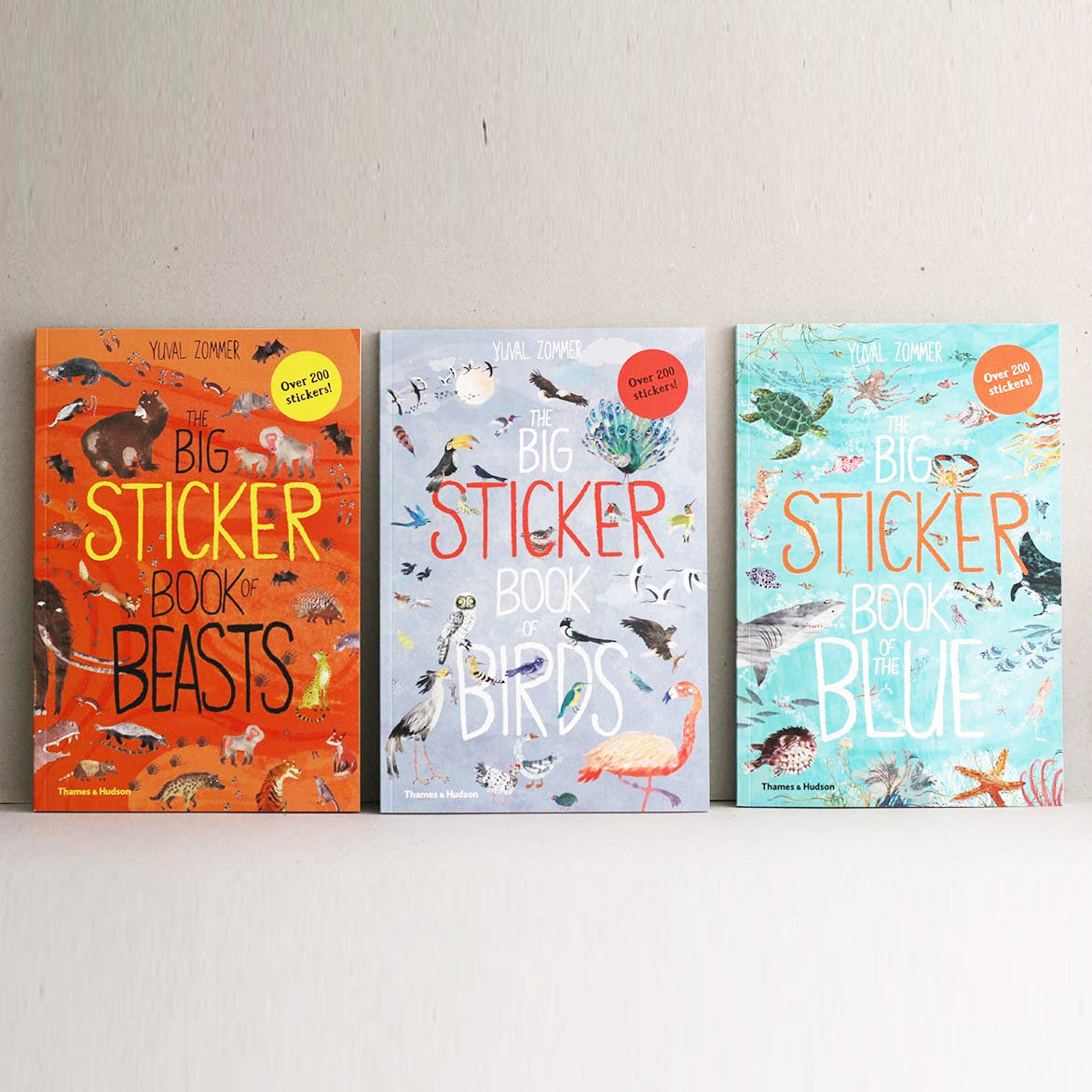 The Big Sticker Book series (The Big Book series)