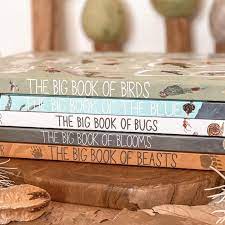 The Big Book series (Hardback)