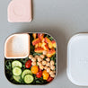 Miniware Silipods Silicone Freezer Storage Containers (2pc) (3 Colours) - Oh Happy Fry - we ship worldwide